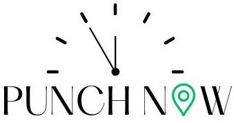 Punch Now Logo